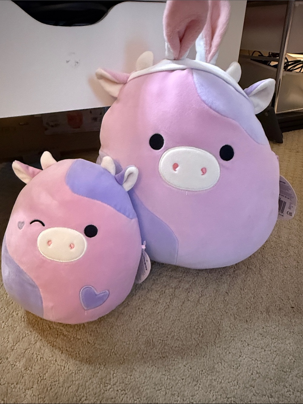 Patty Cow Squishmallow 8 and 12 inch Duo